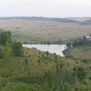Земельный участок в области на реке Пьяна
