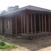 Дома из оцилиндрованного бревна сибирского леса фото
