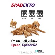 Бравекто 1000 мг