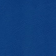 Искожа Тверь 100-110см арт.69 (синяя) фото