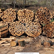 Сушеные и колотые дрова из граба и бука в ящиках высокого качества
