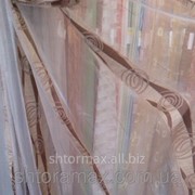 Тюль, гардина, органза вертикальная полоса арт 431 органза фото