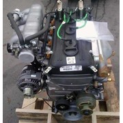 Двигатель ЗМЗ 40522.10 (40522.1000399-10) АИ-92 Инжектор фото