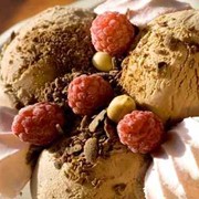 Сухие смеси для мягкого мороженого фотография