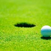 Строительство гольф полей, подготовка полей для гольфа фото