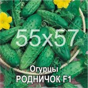 Огурцы Родничок F1 (Молдова), семена в банках фото