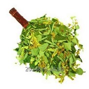 Веник Липовый фото