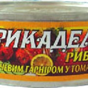 Фрикадельки рыбные в томатном соусе, фото