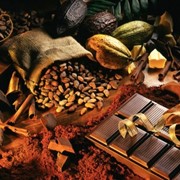 Какао-бобы фотография