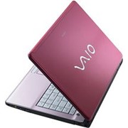 Ноутбуки Sony VAIO VGN-FJ290P1 R
