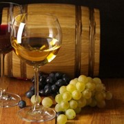 Черенки винного винограда фото