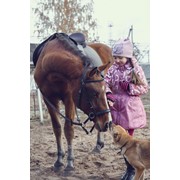 Детские праздники с участием лошадей фото
