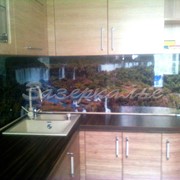 Кухонный фартук из стекла (Скинали) с тематикой водопадов фото
