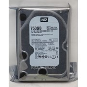 Жесткий диск 750 Gb HDD Sata-III 6 Гб/сек 64 МБ 3.5 Western Digital фотография