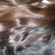 Волосы (сырьё)