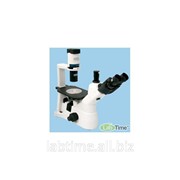 Микроскоп тринокулярный инверсионный MBL3200 фотография