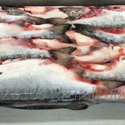 Свежемороженая рыба и морепродукты фото