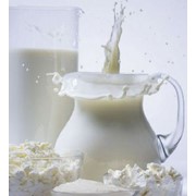 Ингредиенты для молочных продуктов фото
