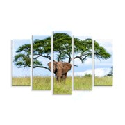 Картина Слон и дерево фото