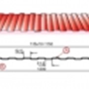 Профлист С-8 окрашеный фото