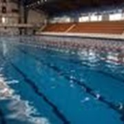 Бассейн в Областной спортивной школе плавания фото