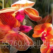 Картина стразами Цветы орхидеи 30*40 фотография