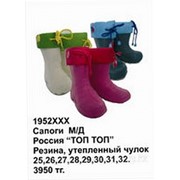 Сапоги резиновые детские 27 Бежевый фото