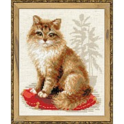 Набор для вышивания Кошка домашняя фото