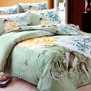 Постельное белье le vele сатин - silent семейный фото