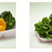 Контейнеры для овощей фотография