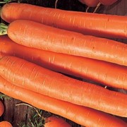Морковь ранняя купить, цена, Крым, Украина фотография