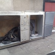 Охладитель молока фото