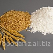 Мука пшеничная второго сорта на экспорт фото