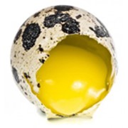 Перепелиные яйца пищевые розница, Украина