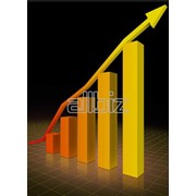 Анализ эффективности продвижения брендов. Разработка механики реализации проекта и оценка маркетинговой эффективности мероприятий фото