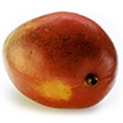Манго (Mango)