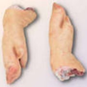 Субпродукты мясные. Ножки свинные фотография