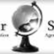 Получить Европейское гражданство фото