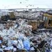 Реестровые карты отходов фото