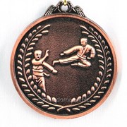 Медаль карате - бронза фотография