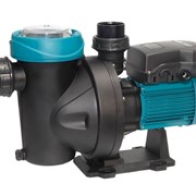 Насос с префильтром Espa Silen S2 300 36М, 230 В фото