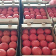 Овощи свежие помидоры фотография