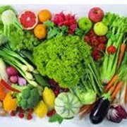 Выращивание овощей, фруктов, ягод. Кавсько, ФХ Украина фото
