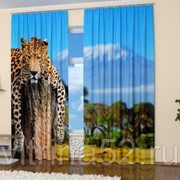 Фотошторы “Томный леопард“ фотография
