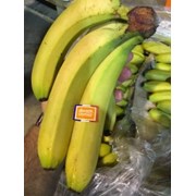 Продаем бананы из Испании фото