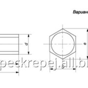 Болт с шестигранной уменьшенной головкой и направляющим подголовком, класс точности В ГОСТ 7795-70 фото