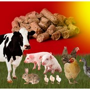 Высококачественные корма для всех видов животных. фото