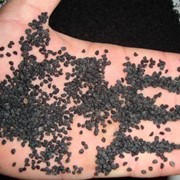 Семена чернушки (на лук-севок) фото