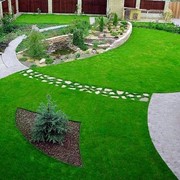 Искусственный газон в Алматы фото