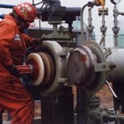 Очистные поршни фото